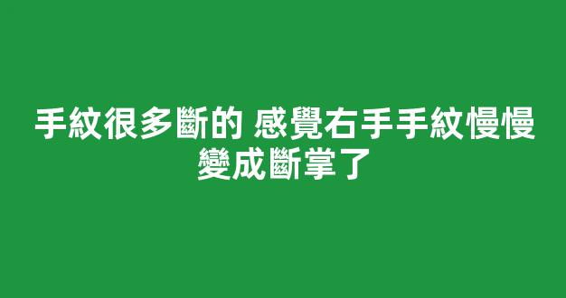 手紋很多斷的 感覺右手手紋慢慢變成斷掌了
